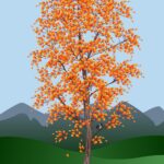 Fall Tree Study