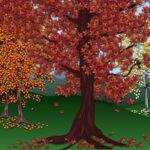 Fall Trees Compilation Study