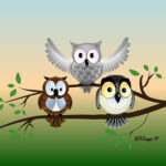 3 Wise Owls