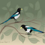 Anna's Magpies 2