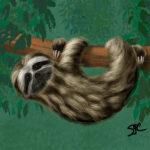 Sloth Fur Study