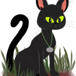 Sam, Cute Black Cat