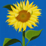 Just A Sunflower